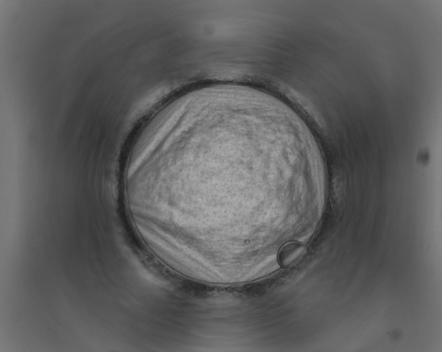 X0000094330682200711241830