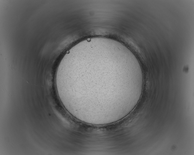 X0000094330683200711241830