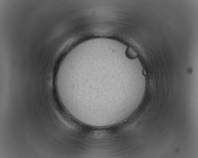 X0000094330686200711241830