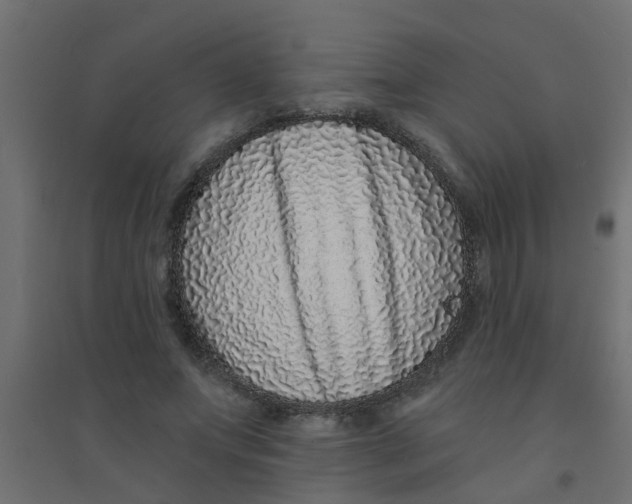 X0000094330687200711241830