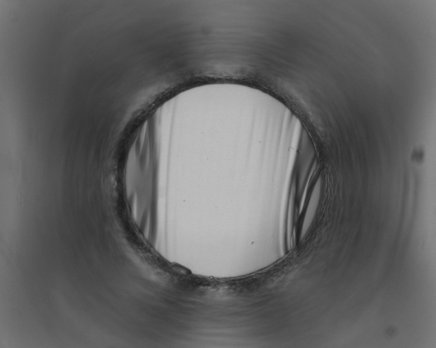 X0000094330688200711241830