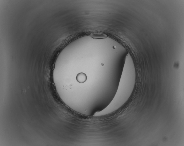 X0000094330693200711241830