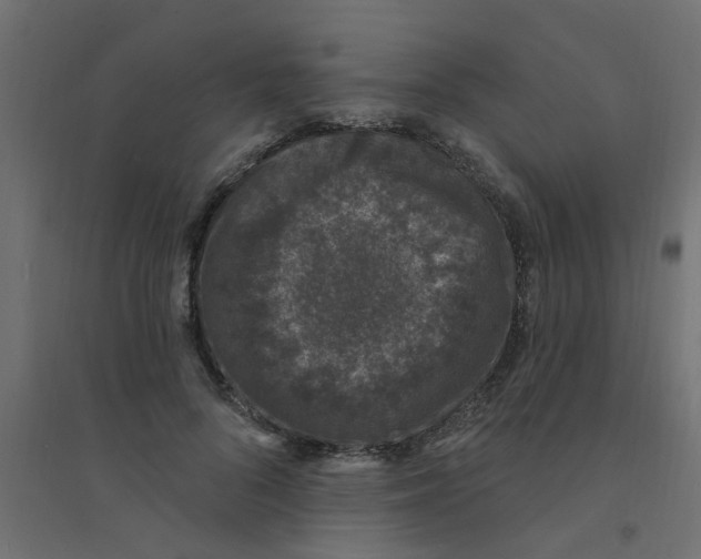 X0000094330696200711241830