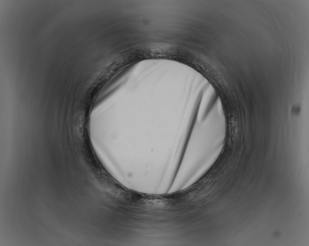 X0000094330698200711241830