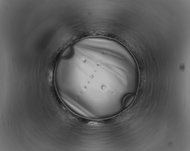 X0000094330699200711241829