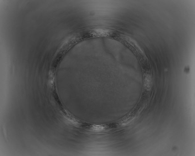 X0000094330701200711241829