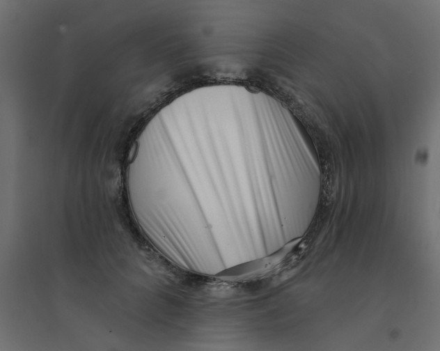 X0000094330704200711241829