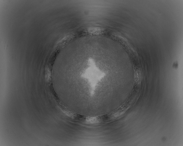 X0000094330705200711241829