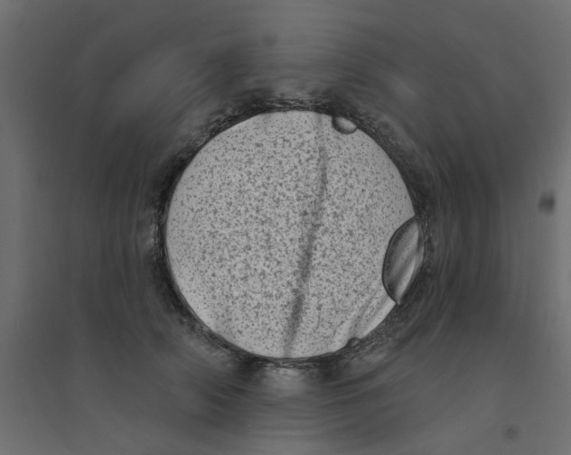 X0000094330706200711241829