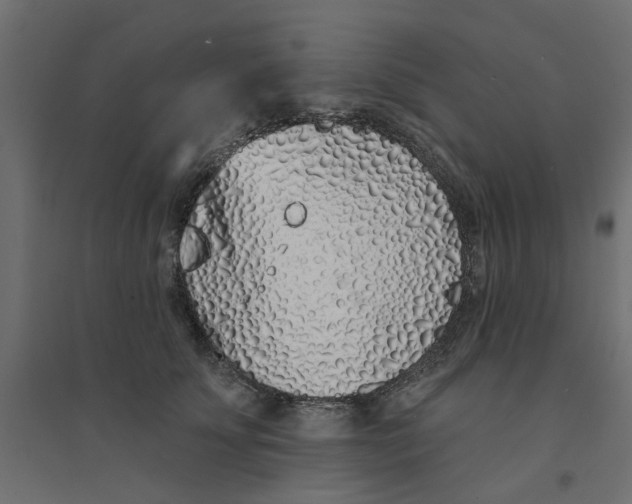 X0000094330707200711241829