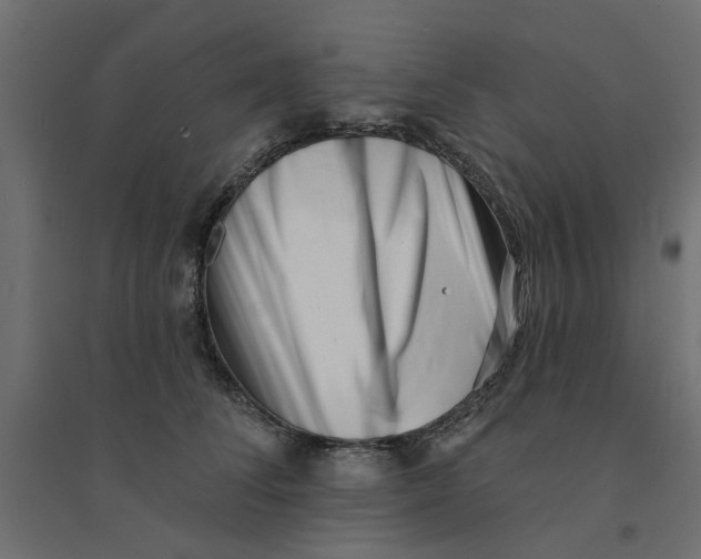 X0000094330708200711241829