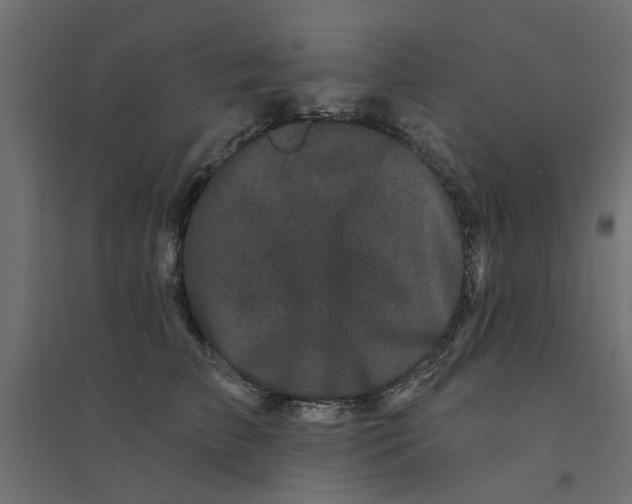 X0000094330709200711241829