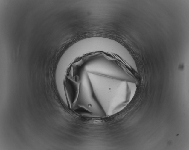 X0000094330711200711241829