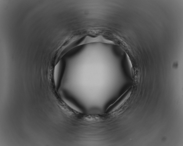 X0000094330712200711241829