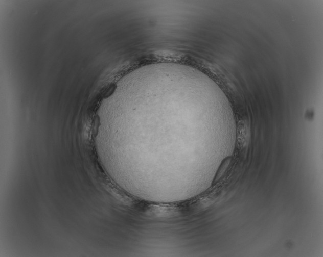 X0000094330713200711241829