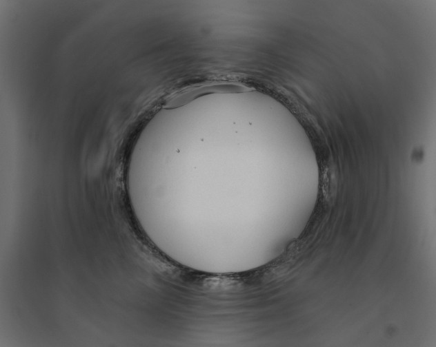 X0000094330714200711241829