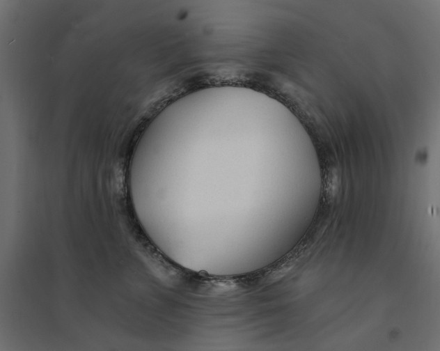 X0000094330715200711241829