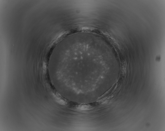 X0000094330716200711241829