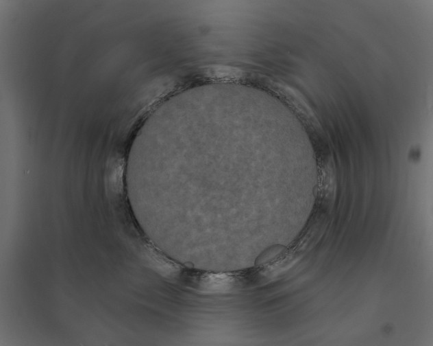 X0000094330717200711241829