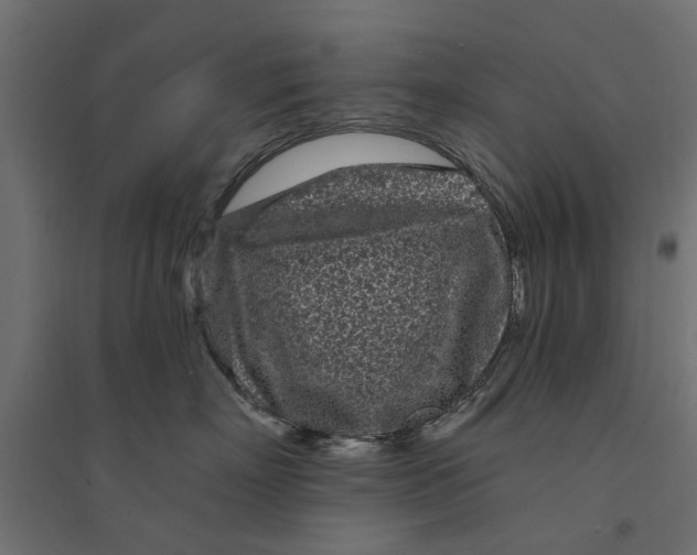 X0000094330718200711241829