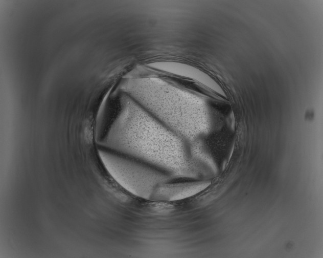 X0000094330719200711241829