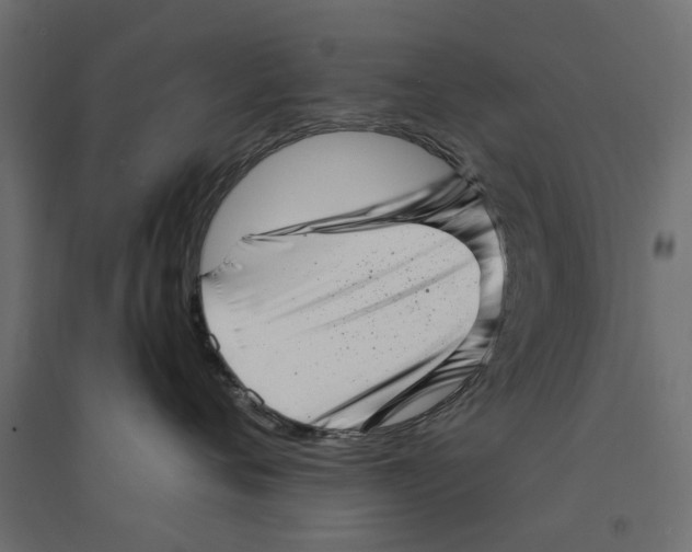 X0000094330720200711241829