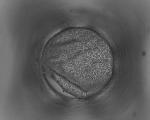 X0000094330721200711241828