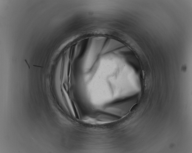 X0000094330722200711241828