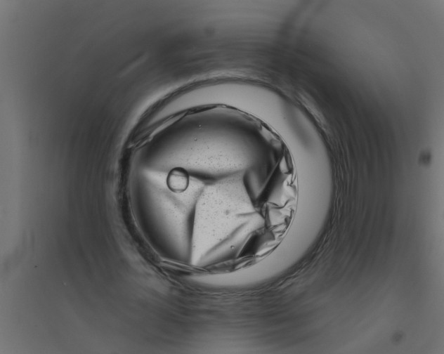 X0000094330724200711241828