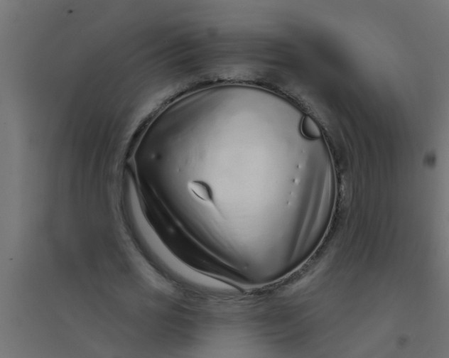 X0000094330725200711241828