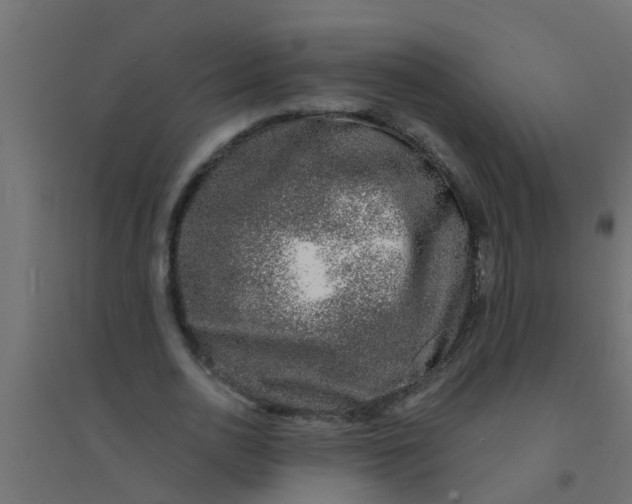 X0000094330726200711241828