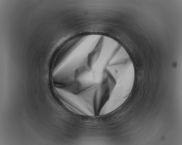 X0000094330727200711241828