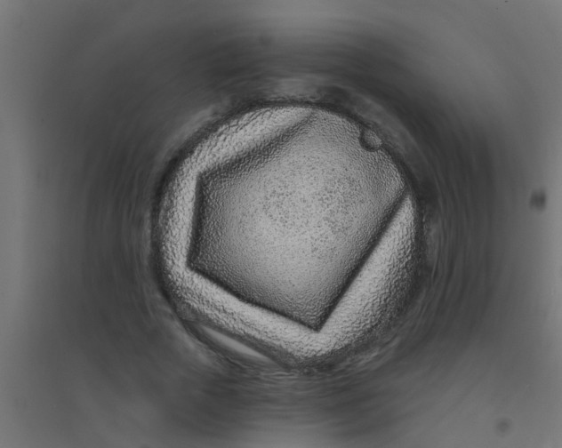 X0000094330729200711241828