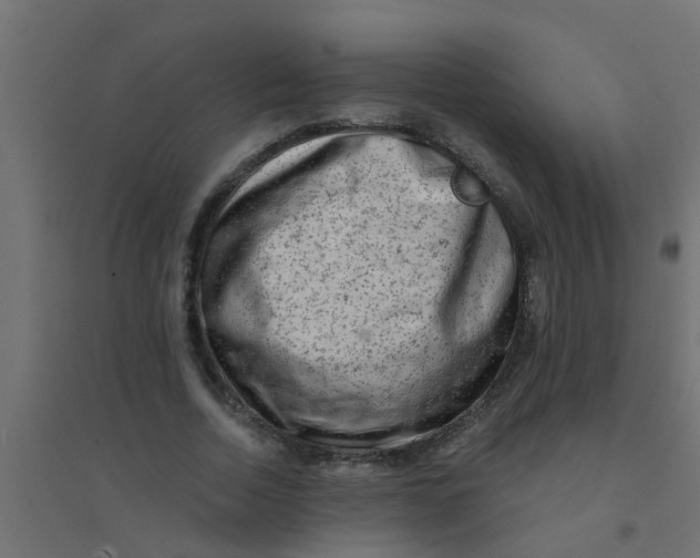 X0000094330730200711241828