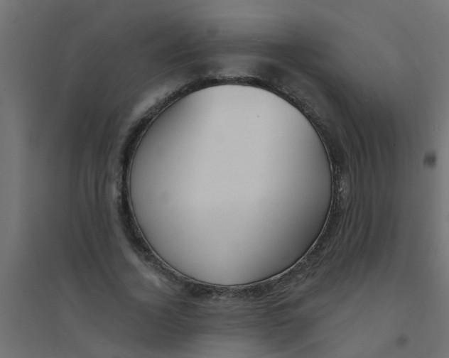 X0000094330732200711241829