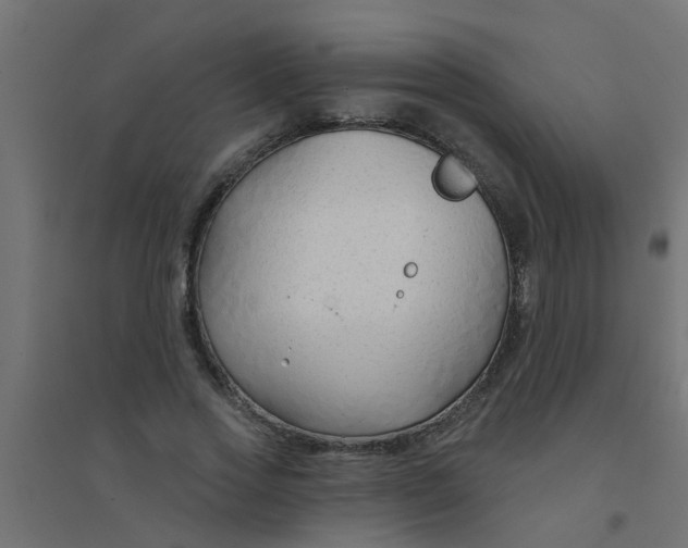 X0000094330733200711241829