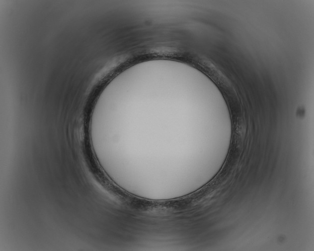 X0000094330734200711241829