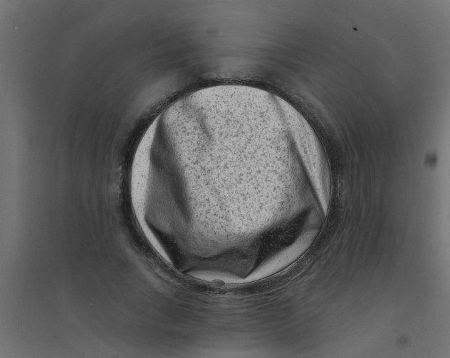 X0000094330735200711241829