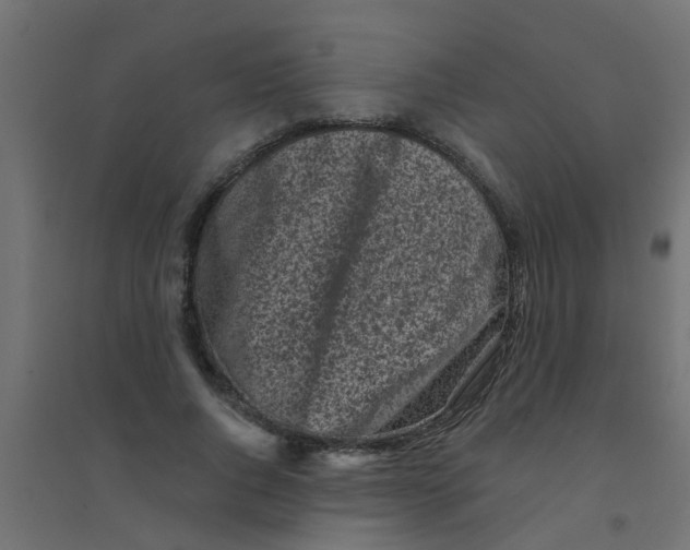 X0000094330736200711241829