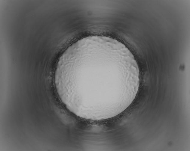 X0000094330737200711241829