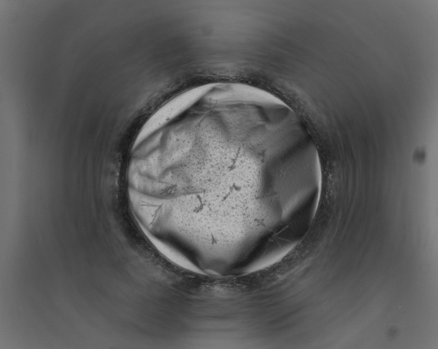 X0000094330739200711241829