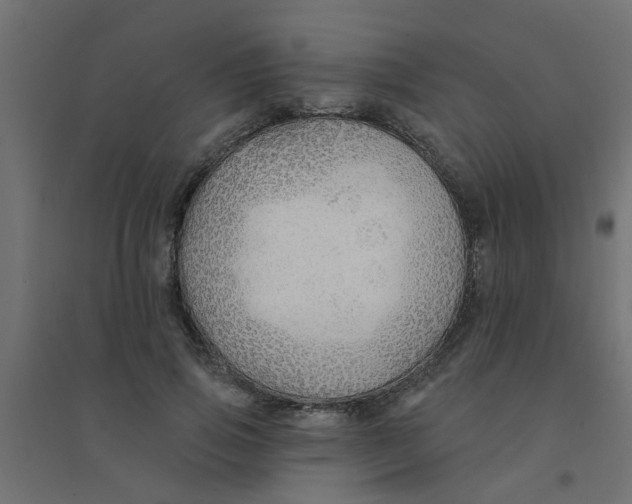 X0000094330741200711241829