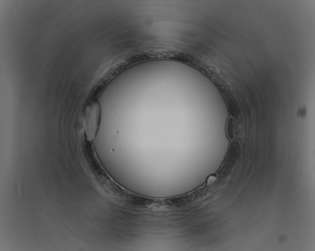 X0000094330742200711241829