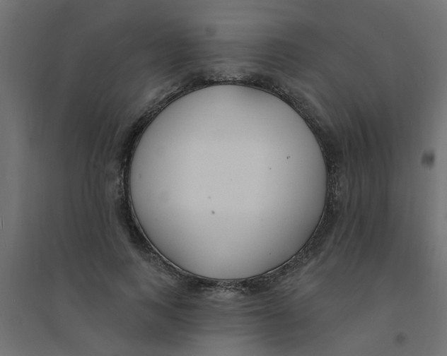 X0000094330743200711241829