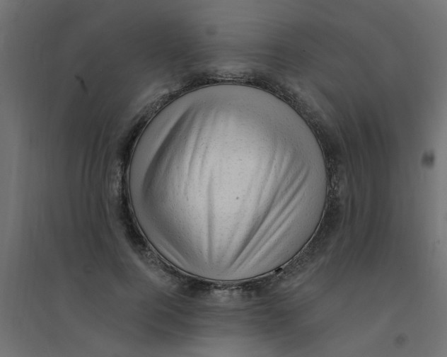 X0000094330744200711241829