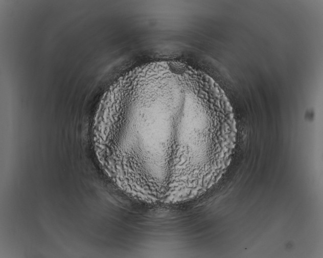 X0000094330745200711241829