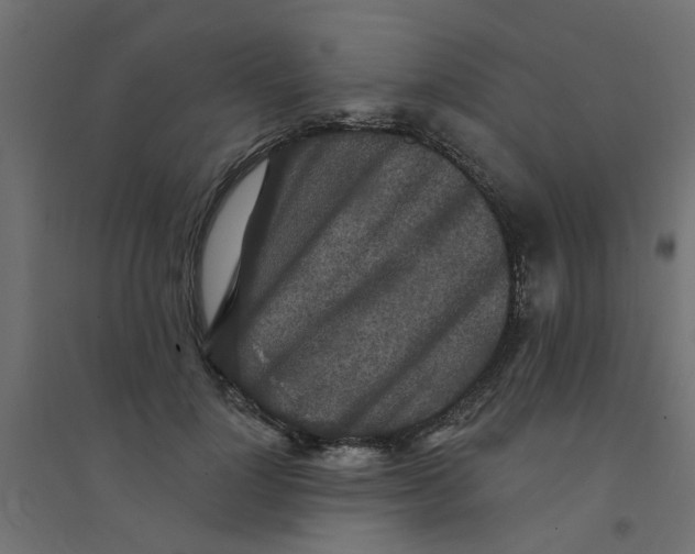 X0000094330748200711241829