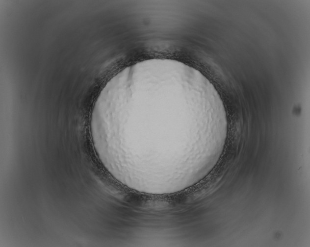 X0000094330749200711241829