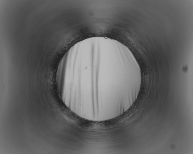 X0000094330750200711241829