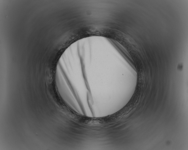 X0000094330751200711241829